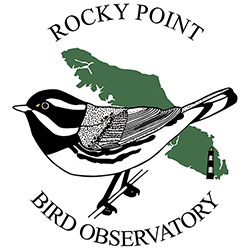 Rocky Point Bird Observatory