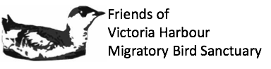 Friends of Victoria Harbour Migratory Bird Sanctuary